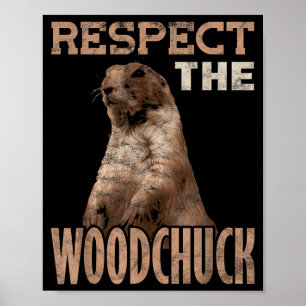 Poster Tatu-bola Respeita o Marmota