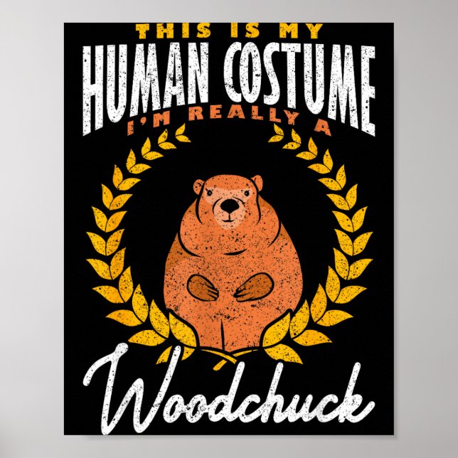 Poster Tatu Im Realmente Um Marmota  (Frente)