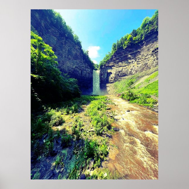 POSTER TAUGHANNOCK CAI NA ITHACA NOVA IORQUE (Frente)
