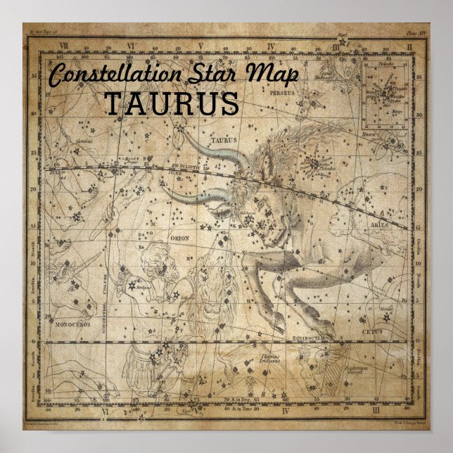 Póster Taurus Bull Constulation Star Map May (Frente)