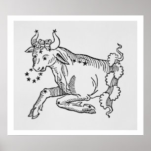 Poster Taurus (Bull) uma ilustração 'do poético