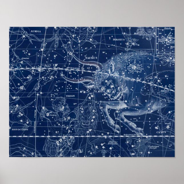Poster Taurus Zodiac - Sinal de Ilustração Vintage (Frente)