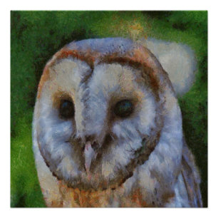 Póster Tawny Owl Em Arte Pointilística