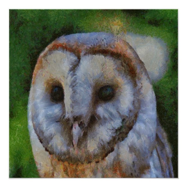 Póster Tawny Owl Em Arte Pointilística (Frente)