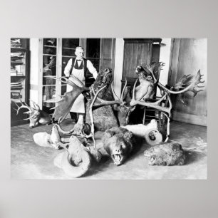 Poster Taxidermist profissional: 1923