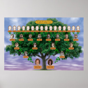 Póster Taylor Family Tree