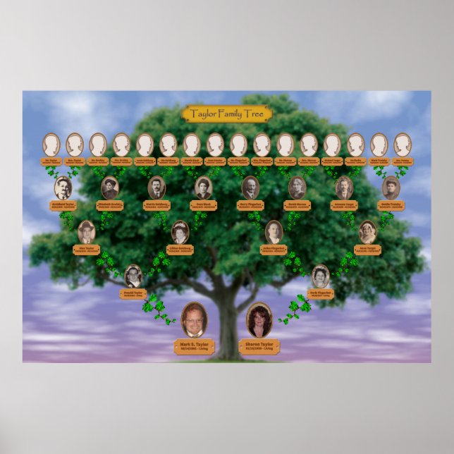 Póster Taylor Family Tree (Frente)