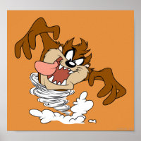 TAZ™ Redemoinho Giratório