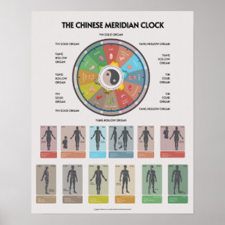 Poster TCM Meridian Organ Clock Poster, Chinese Medicine