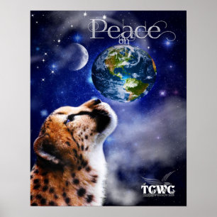 Poster TCWC - Paz na chita da terra