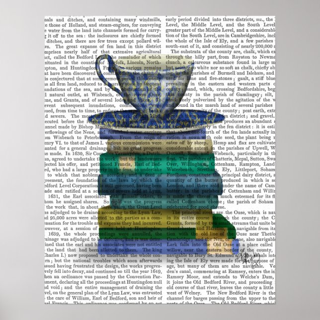 Poster Teacup e Livros (Frente)