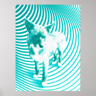 Poster teal terrier