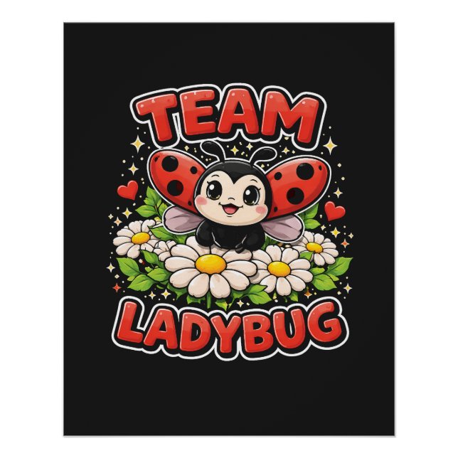 Póster Team Ladybug (Frente)