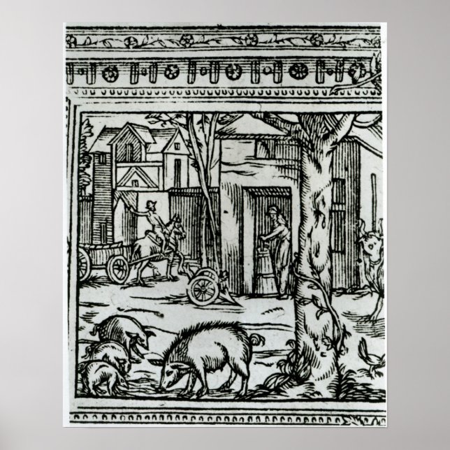 Poster Teatro de Agricultura e Arqueação dos Campos (Frente)