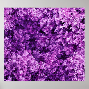 Poster Tecido de malha real, fundo texturizado.