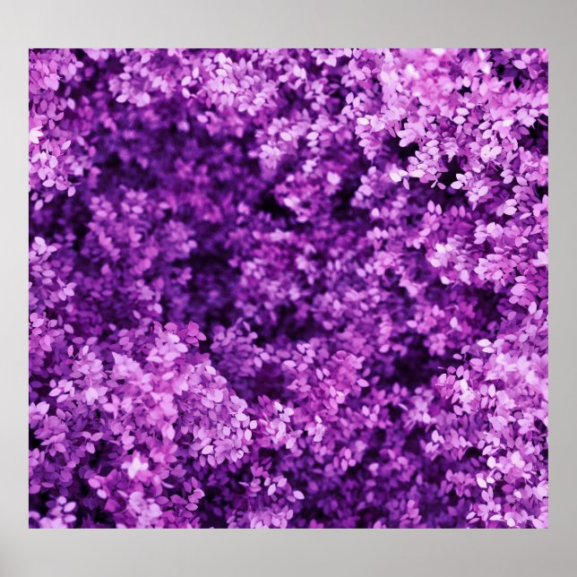 Poster Tecido de malha real, fundo texturizado. (Frente)