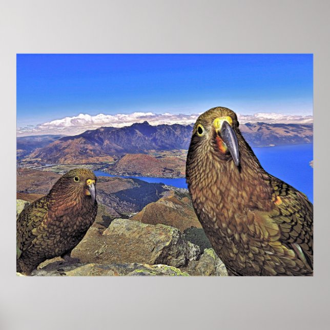 Poster Teclas de Problemas Duplas (Frente)