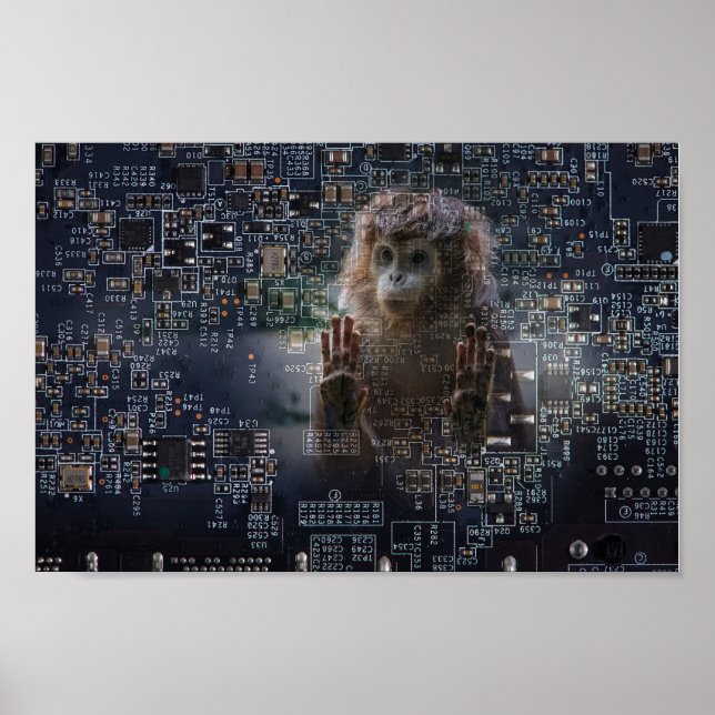 Poster Tecnologia e natureza. (Frente)