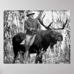 Póster Teddy Roosevelt que monta um alce de Bull