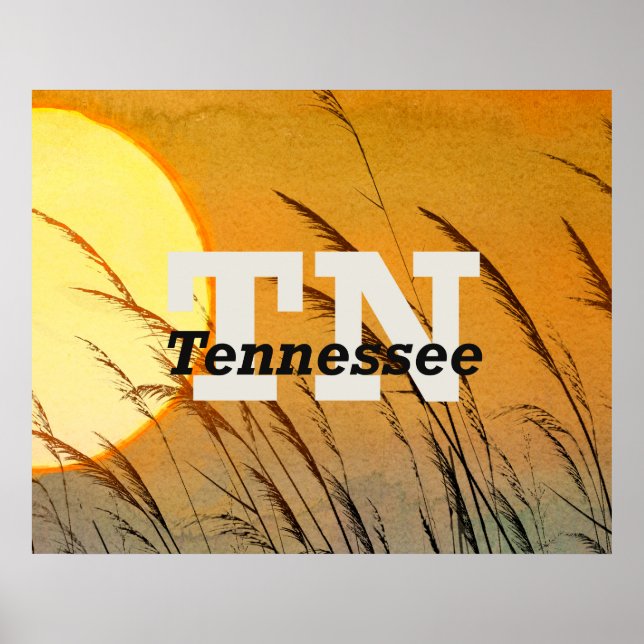 Poster TEE Tennessee (Frente)