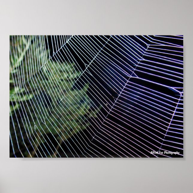 Poster Teia de Aranha à Noite (Frente)