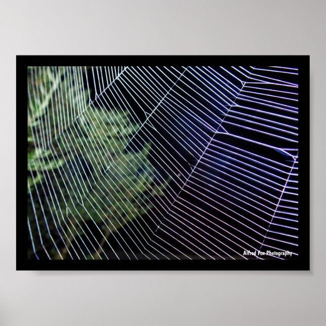 Poster Teia de Aranha à Noite (Frente)