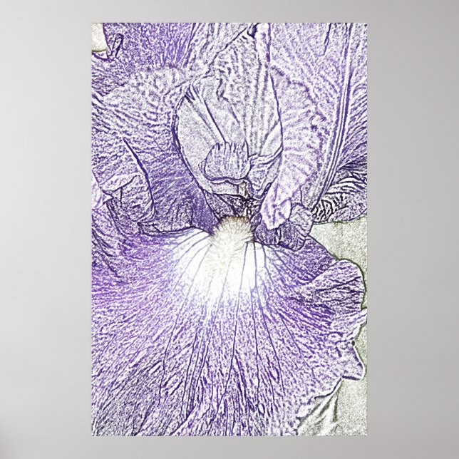 Poster Tela de flores da íris com barba roxa (Frente)