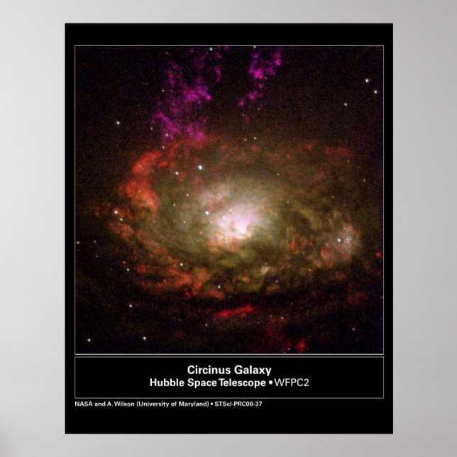 Póster Telescópio Circinus Galaxy Hubble (Frente)