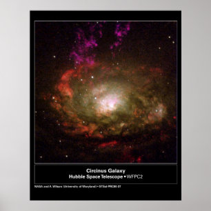 Póster Telescópio de Hubble da galáxia de Circinus