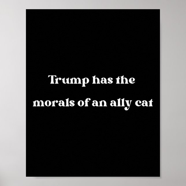 Poster Tem A Moral De Um Jairo Engraçado De Ally Cat (Frente)