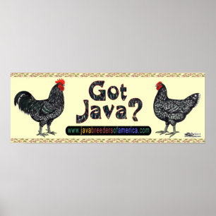 Póster Tem Java?