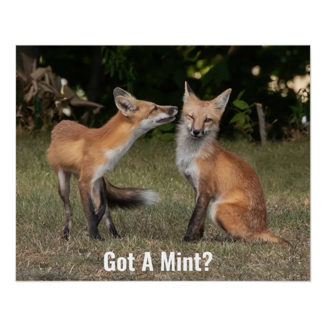 Póster Tem Uma Casa? (Frente)