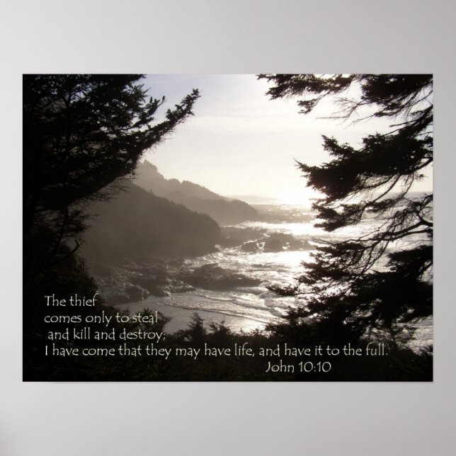 Poster Tem vida? (Frente)