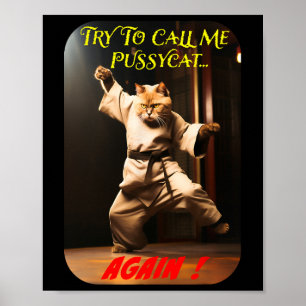Poster Tema de Karate Humorístico