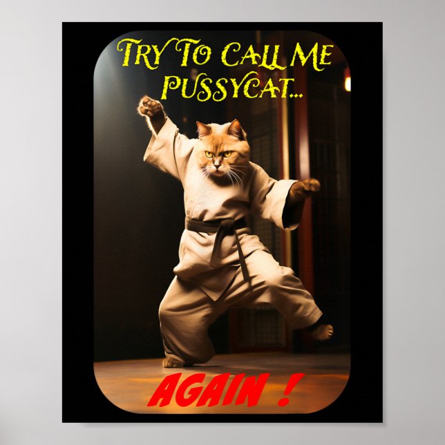 Poster Tema de Karate Humorístico (Frente)