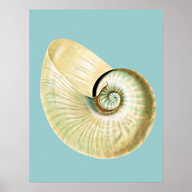 Póster Tema de praia inspirado no Zen (Frente)