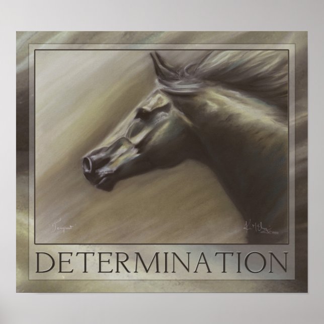 Poster Tempest (Frente)