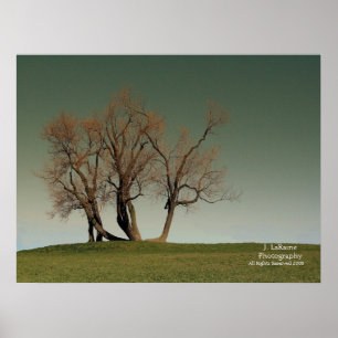Póster Tempestade