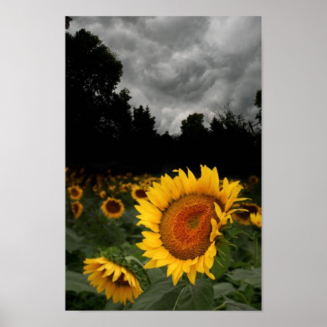 Póster tempestade de agosto (Frente)