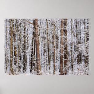 Poster Tempestade de gelo de inverno na Floresta