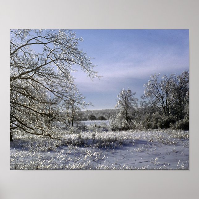 Poster Tempestade De Gelo Espalha Uma Floresta (Frente)