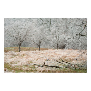Póster Tempestade de gelo Tennessee rural - fotografia