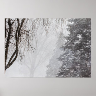 Póster Tempestade de inverno, Ohio.
