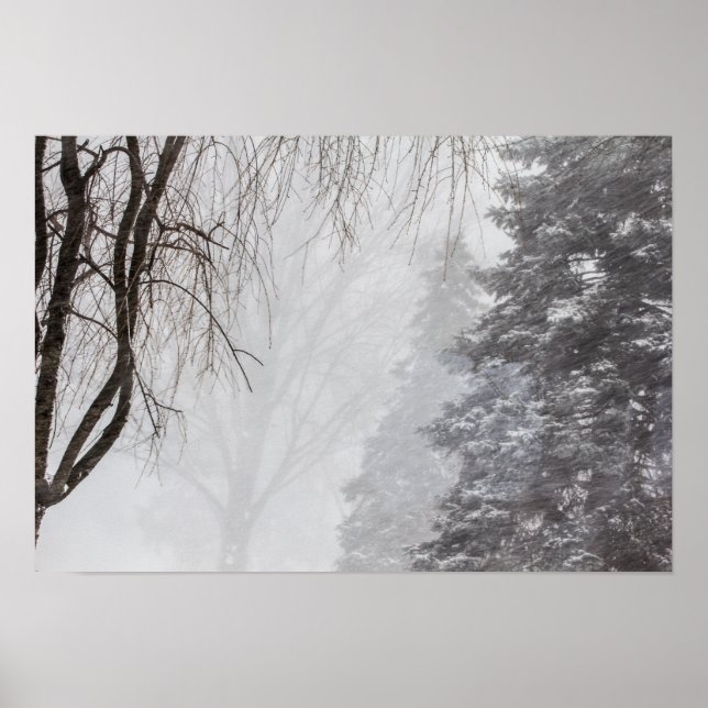 Póster Tempestade de inverno, Ohio. (Frente)