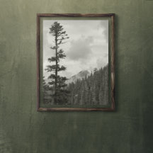 Tempestade Montanha Negra e Branca Foto brilhante