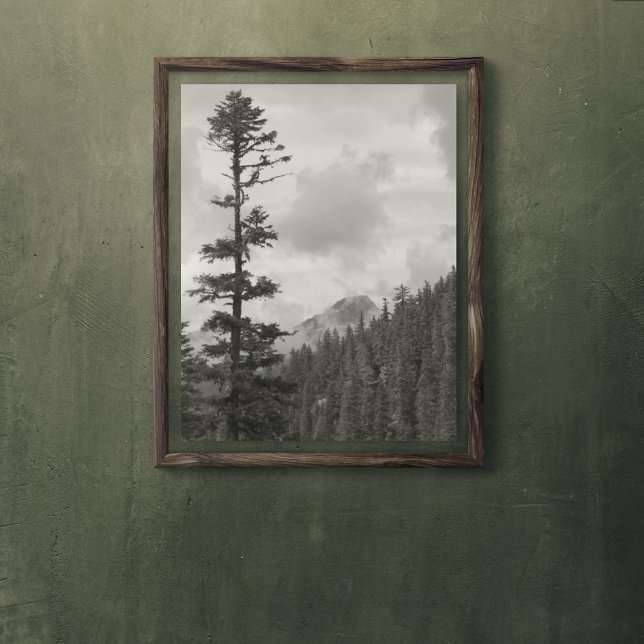 Póster Tempestade Montanha Negra e Branca Foto brilhante (In Situ)