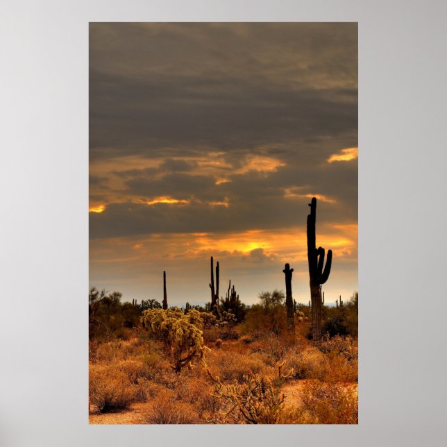 Póster Tempestade no Deserto (Frente)