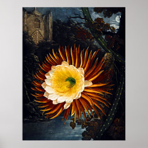 Póster Templo De Arte Botânica De Flora Noite Soprando C