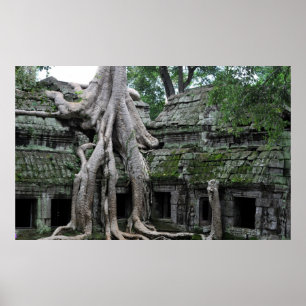 Póster templo do prohm de Ta em cambodia