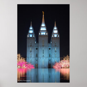 Poster Templo Refletido